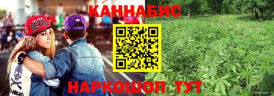 PSILOCYBIN Малоярославец