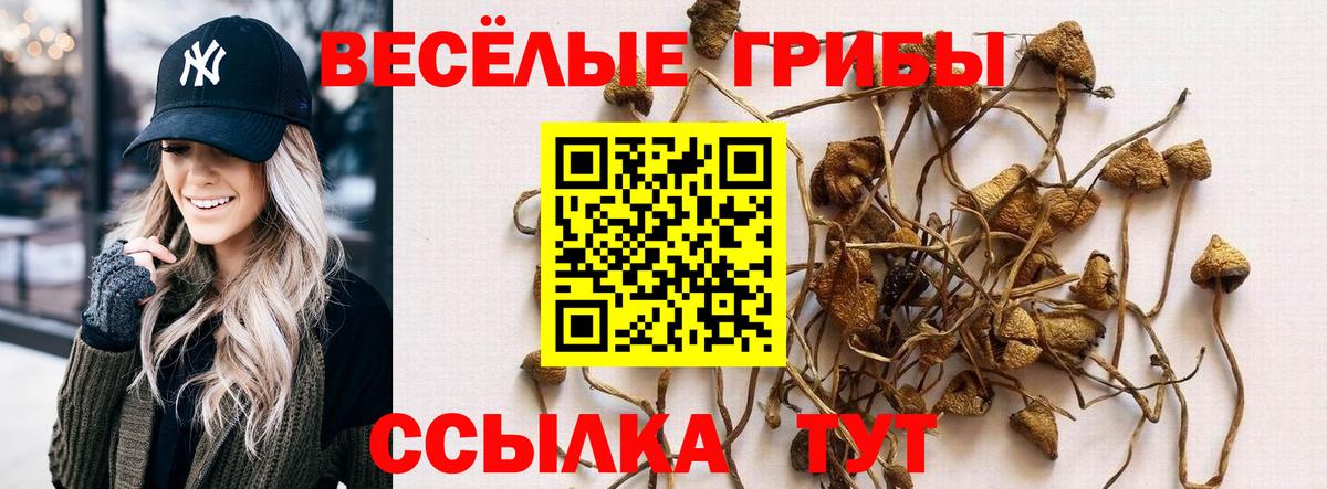 Галлюциногенные грибы Psilocybine cubensis  Вход с VPN  Галлюциногенные грибы ЛСД  Владивосток 